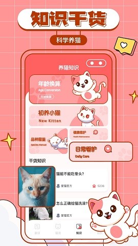 猫咪翻译物语app