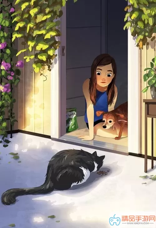 少女与猫画起名 少女与猫的温馨故事