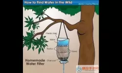 沙漠求生黄金准则-寻找水源阅读题答案 沙漠生存关键：找水源解析