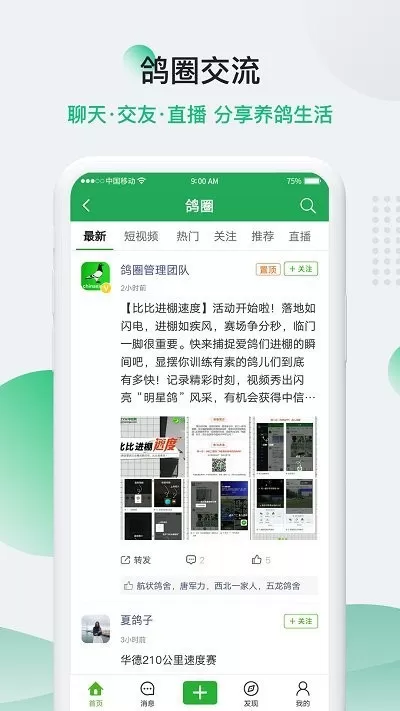 中国信鸽信息网2024最新版
